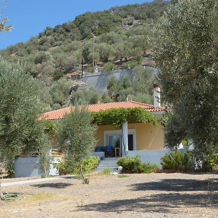 Melinda Holiday House Plomari Luaran gambar